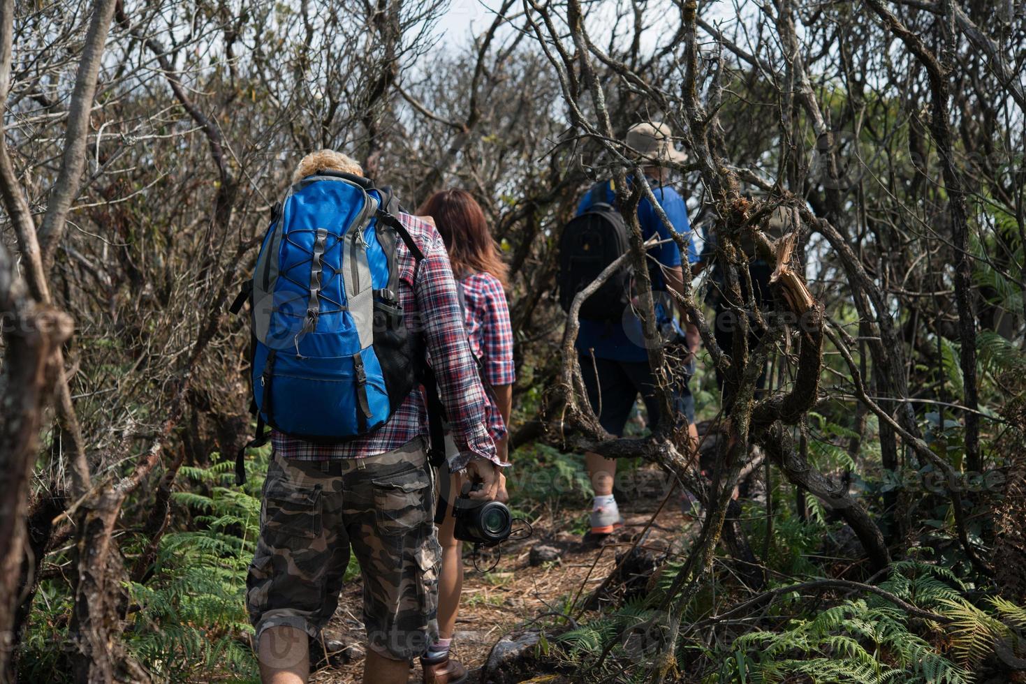 primo piano di amici che camminano con zaini nei boschi dal retro foto