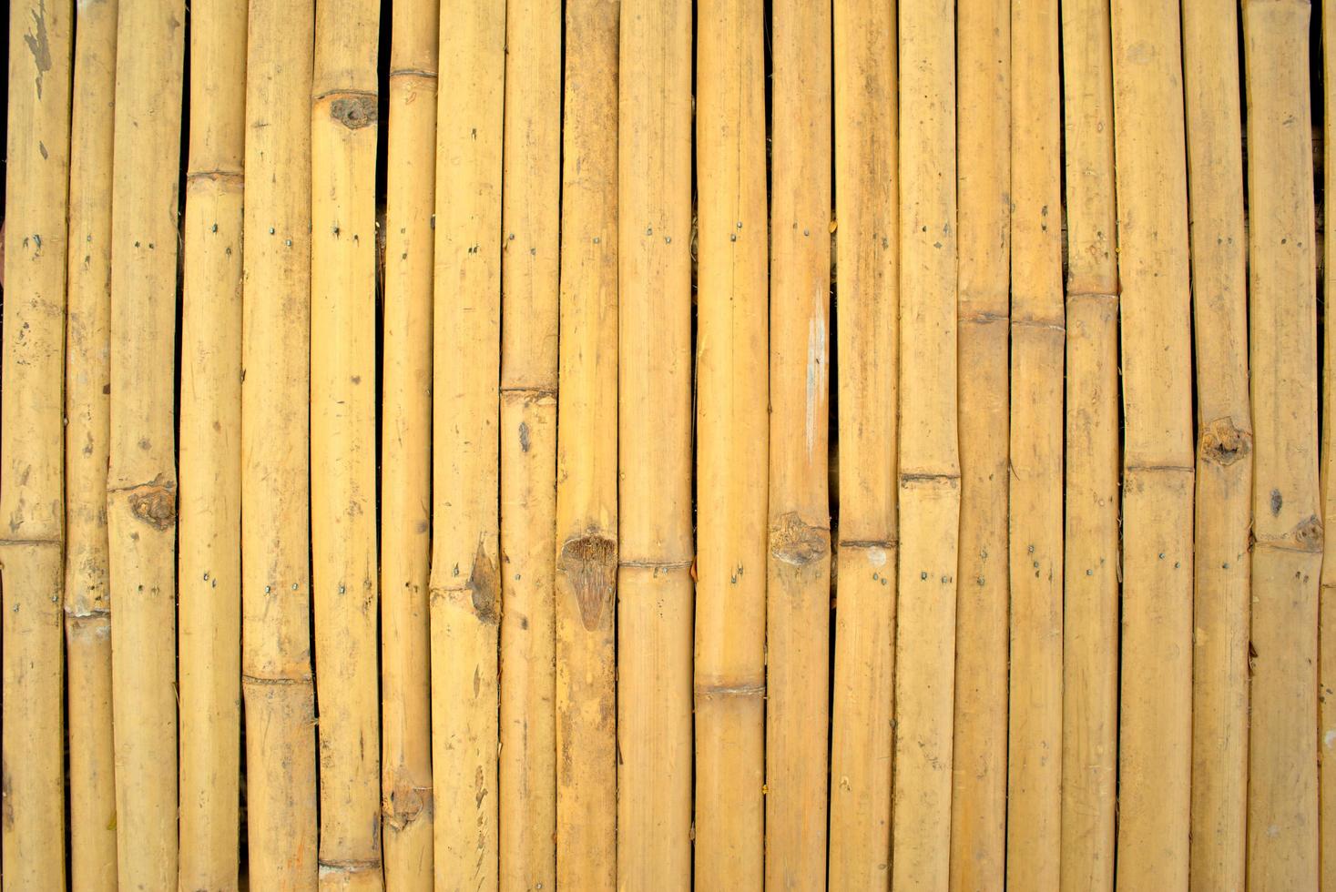 modello di tavola di legno di bambù foto