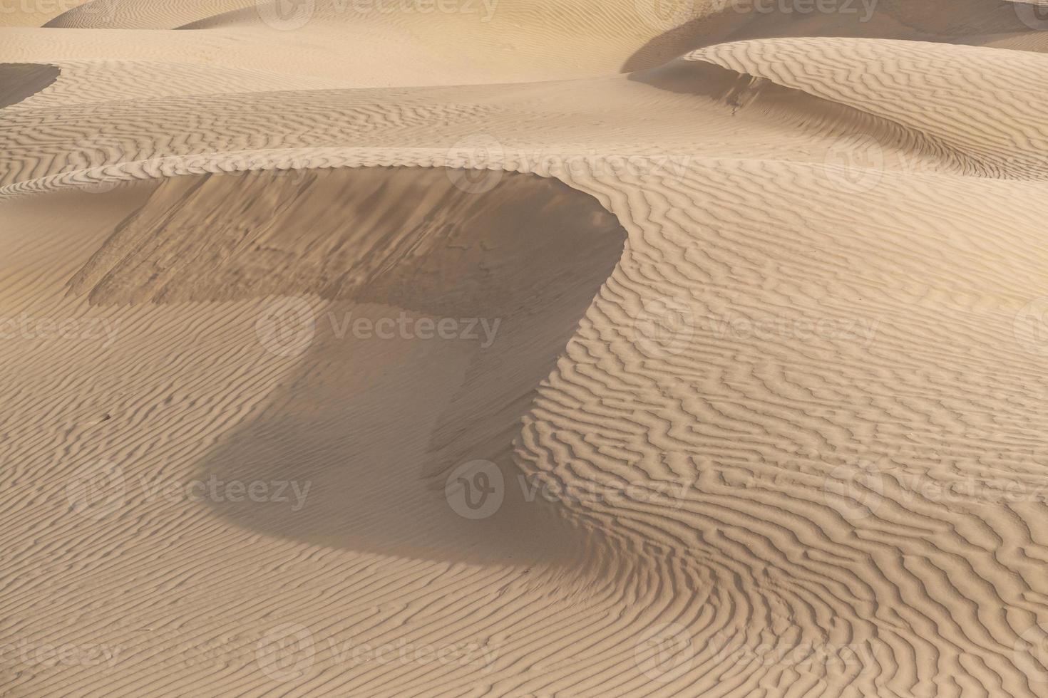 bella duna di sabbia nel deserto del thar, jaisalmer, rajasthan, india foto