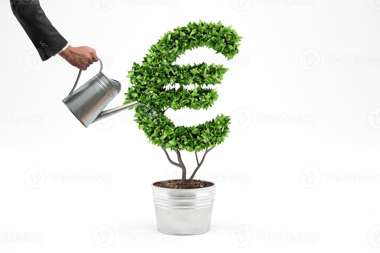 in vaso pianta con euro forma. 3d interpretazione foto