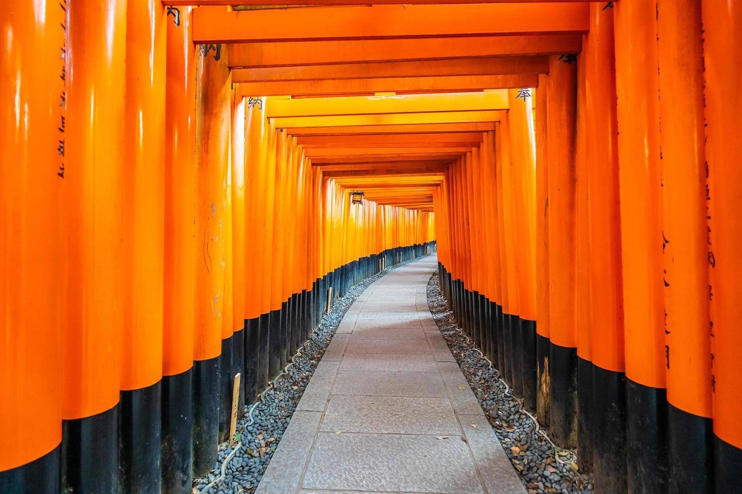 torii gates presso il santuario di fushimi inari a kyoto, in giappone foto