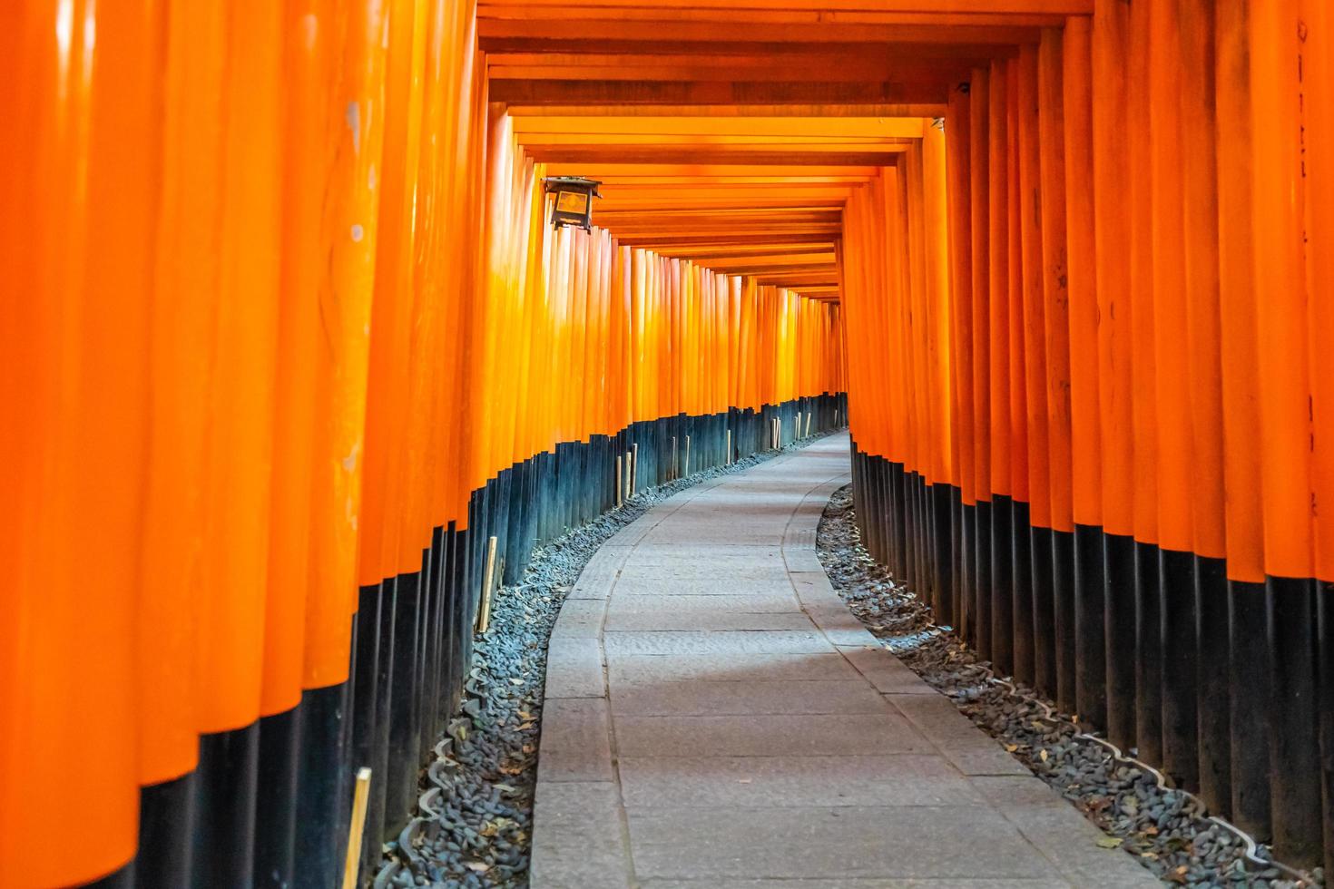 torii gates presso il santuario di fushimi inari a kyoto, in giappone foto