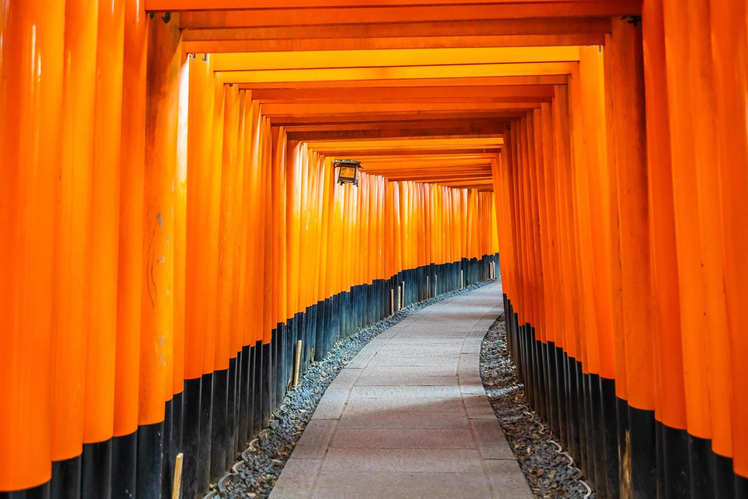 torii gates presso il santuario di fushimi inari a kyoto, in giappone foto