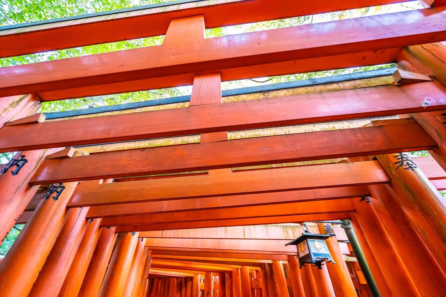 torii gates presso il santuario di fushimi inari a kyoto, in giappone foto