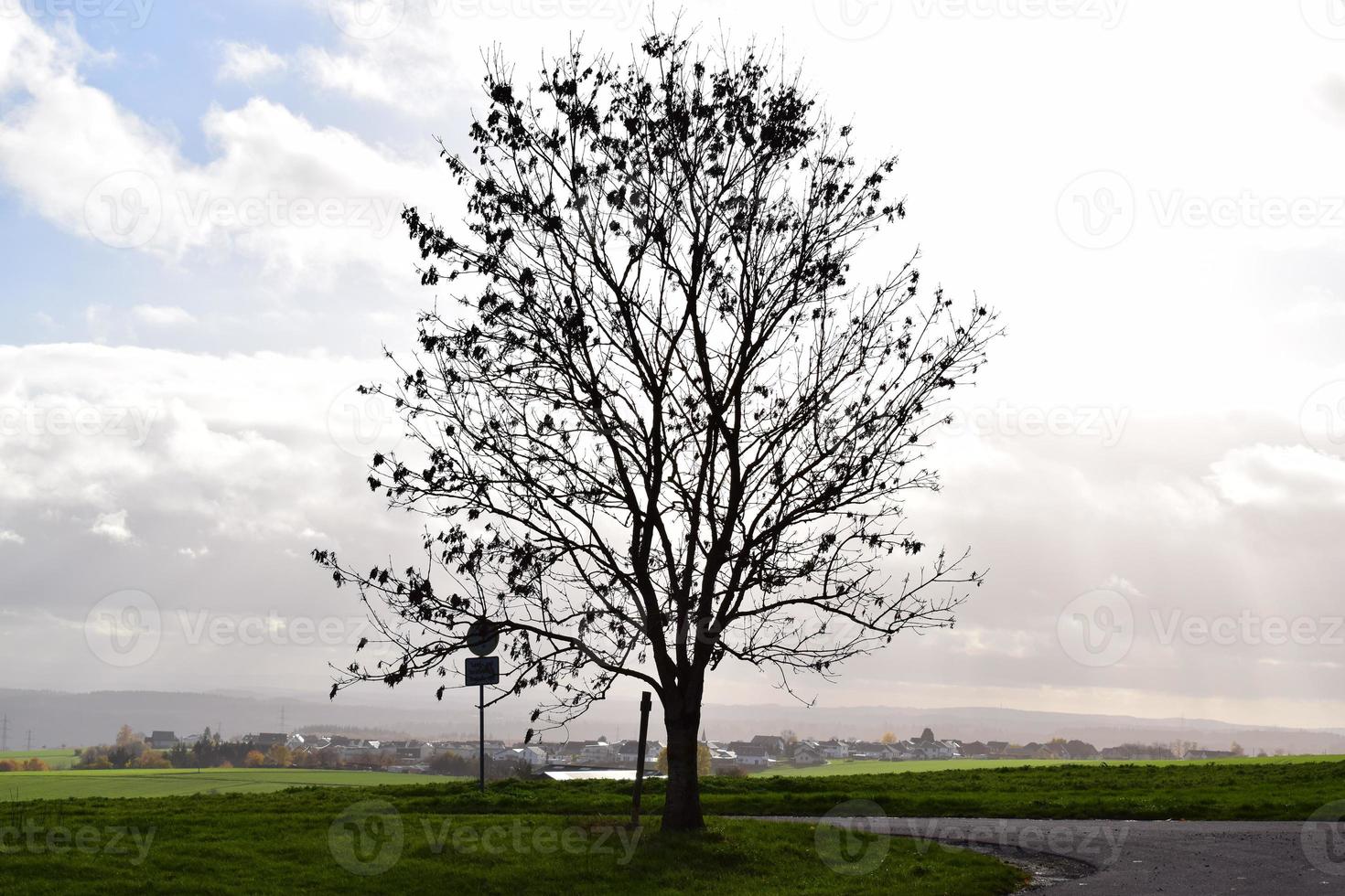 grassetto autunno albero su un' cupo giorno foto