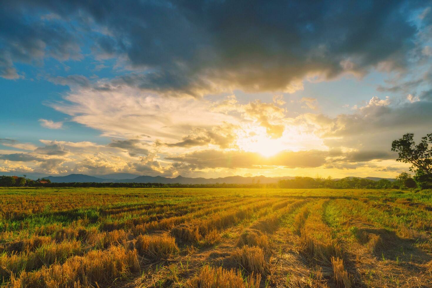 naturale scena cielo nuvole e campo agricolo tramonto sfondo foto