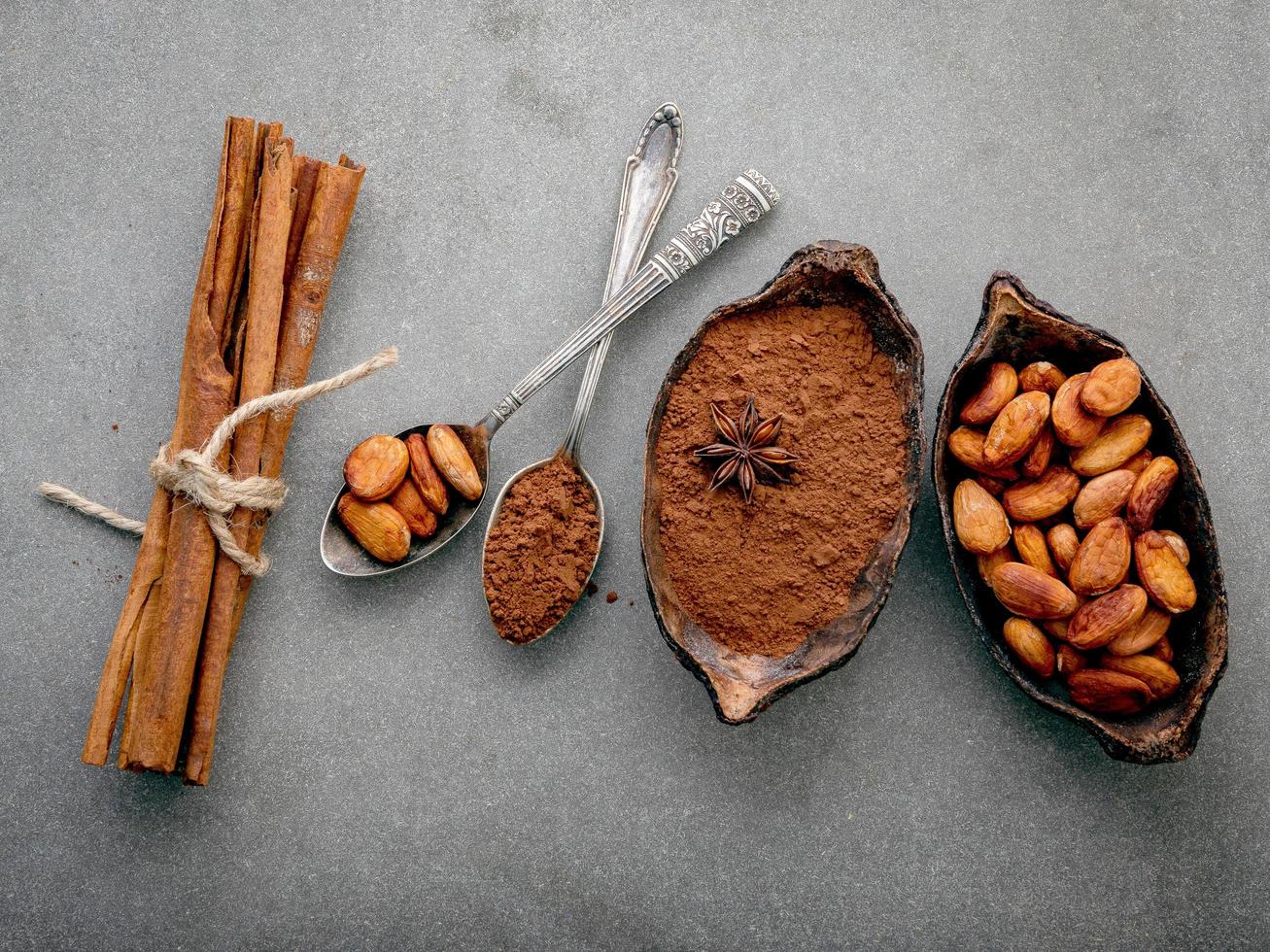 cacao in polvere e fave di cacao vista dall'alto foto