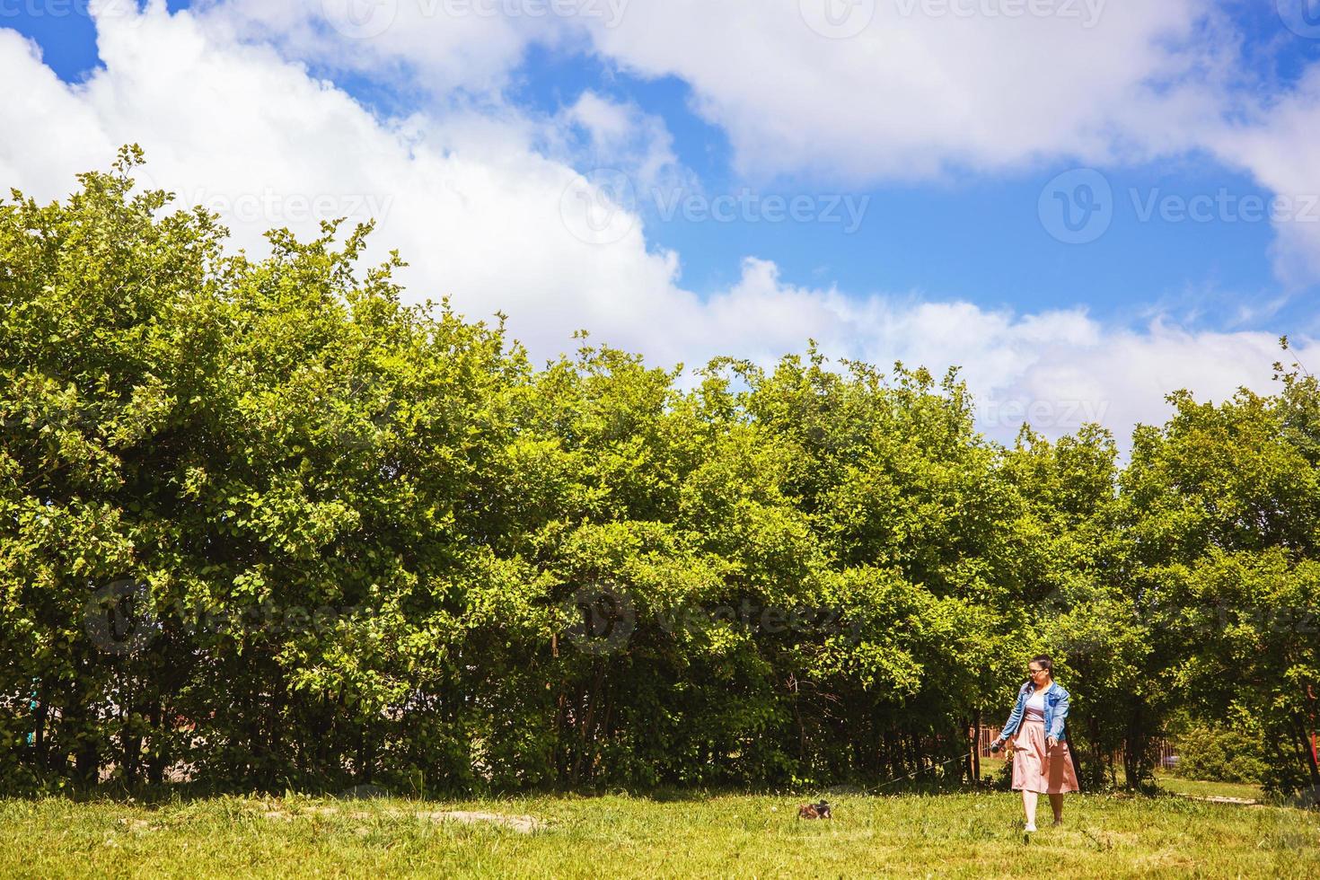 un' ragazza è a piedi con un' cane nel il parco. yorkshire terrier foto