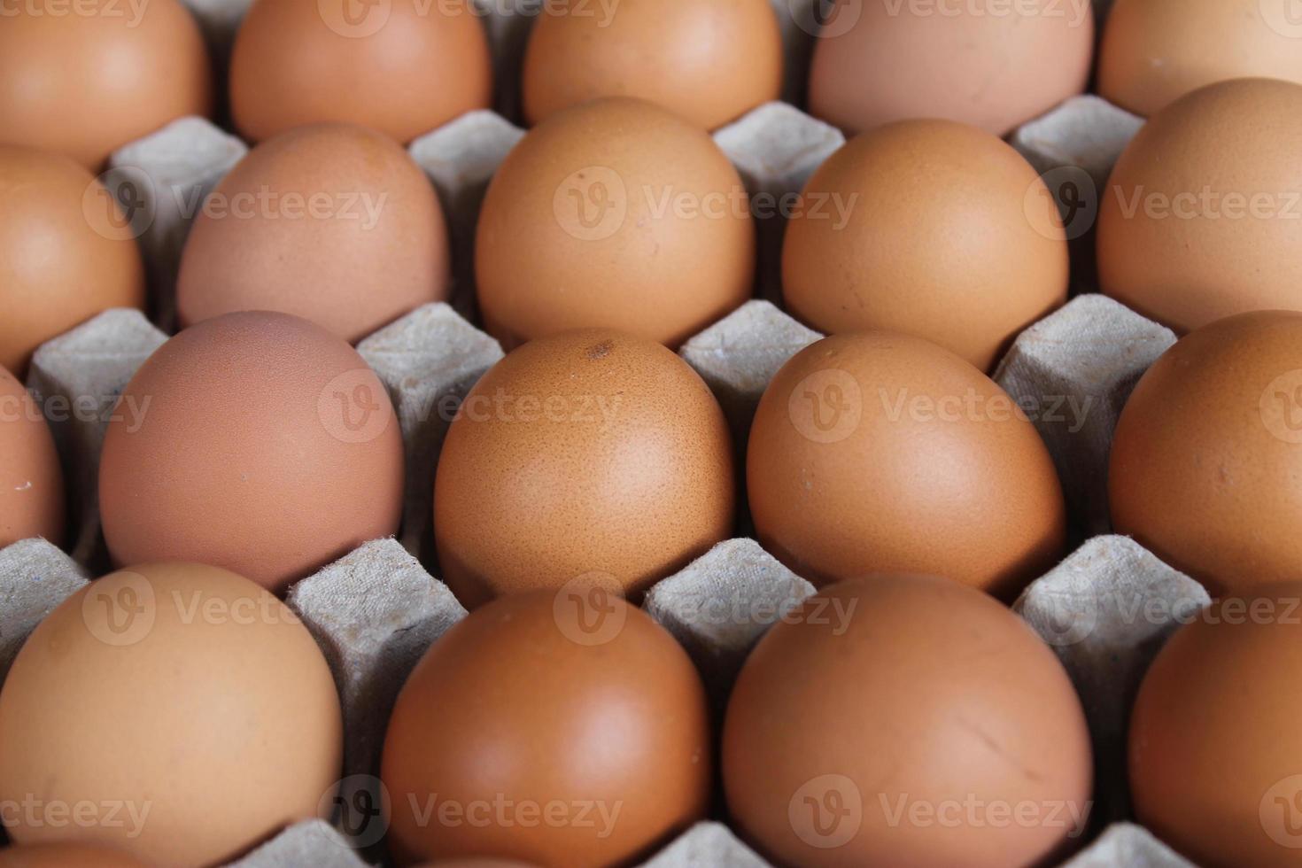 molte di Marrone pollo uova nel uovo vassoi per saldi. foto