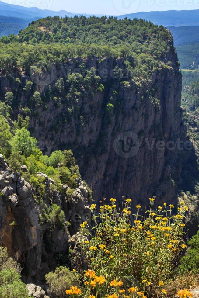 tazi canyon paesaggio nel manavgat tacchino con yallow fiori. valle e scogliera. foto