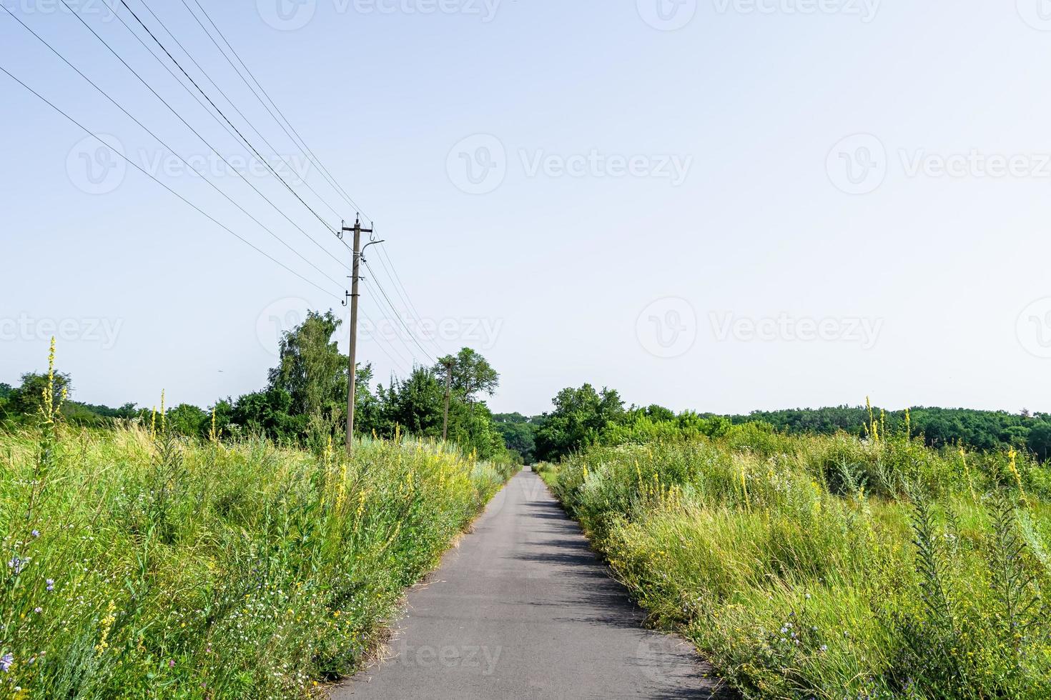 bella strada asfaltata vuota in campagna su sfondo colorato foto