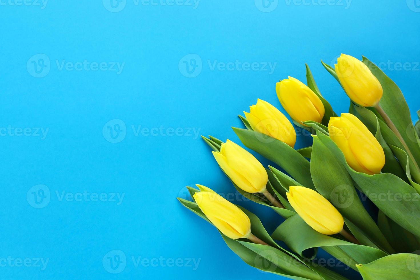 giallo tulipani con verde le foglie nel parte inferiore giusto angolo su blu carta sfondo. giallo-blu simbolico ucraino colori. fiori mazzo. primavera vacanze concetto. saluto carta con posto per testo. foto