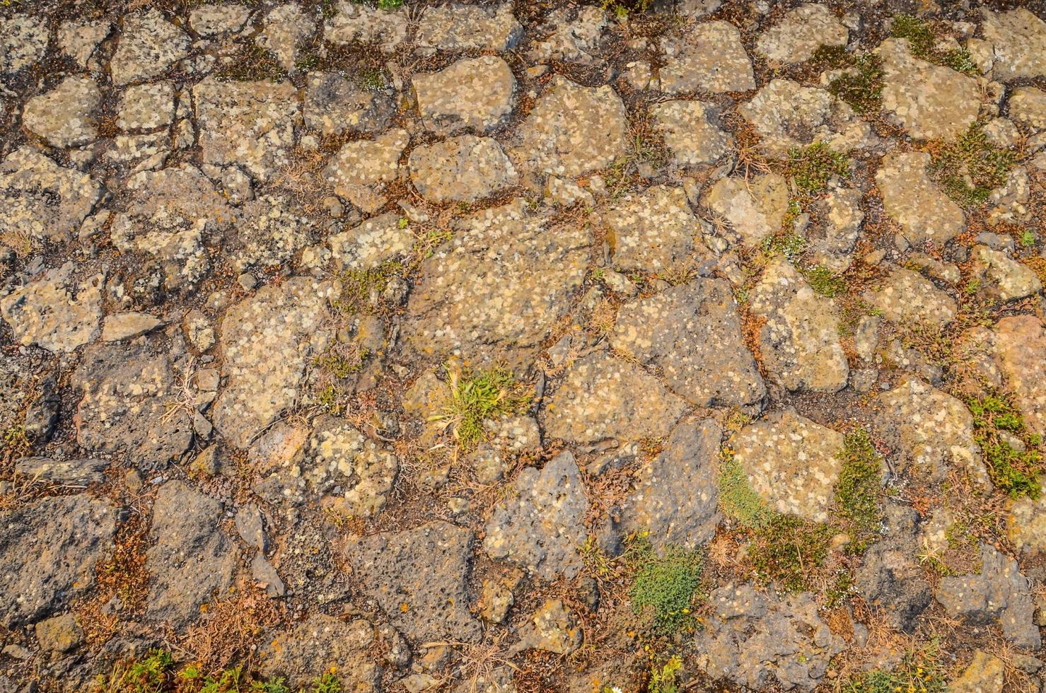 trama di roccia ruvida foto