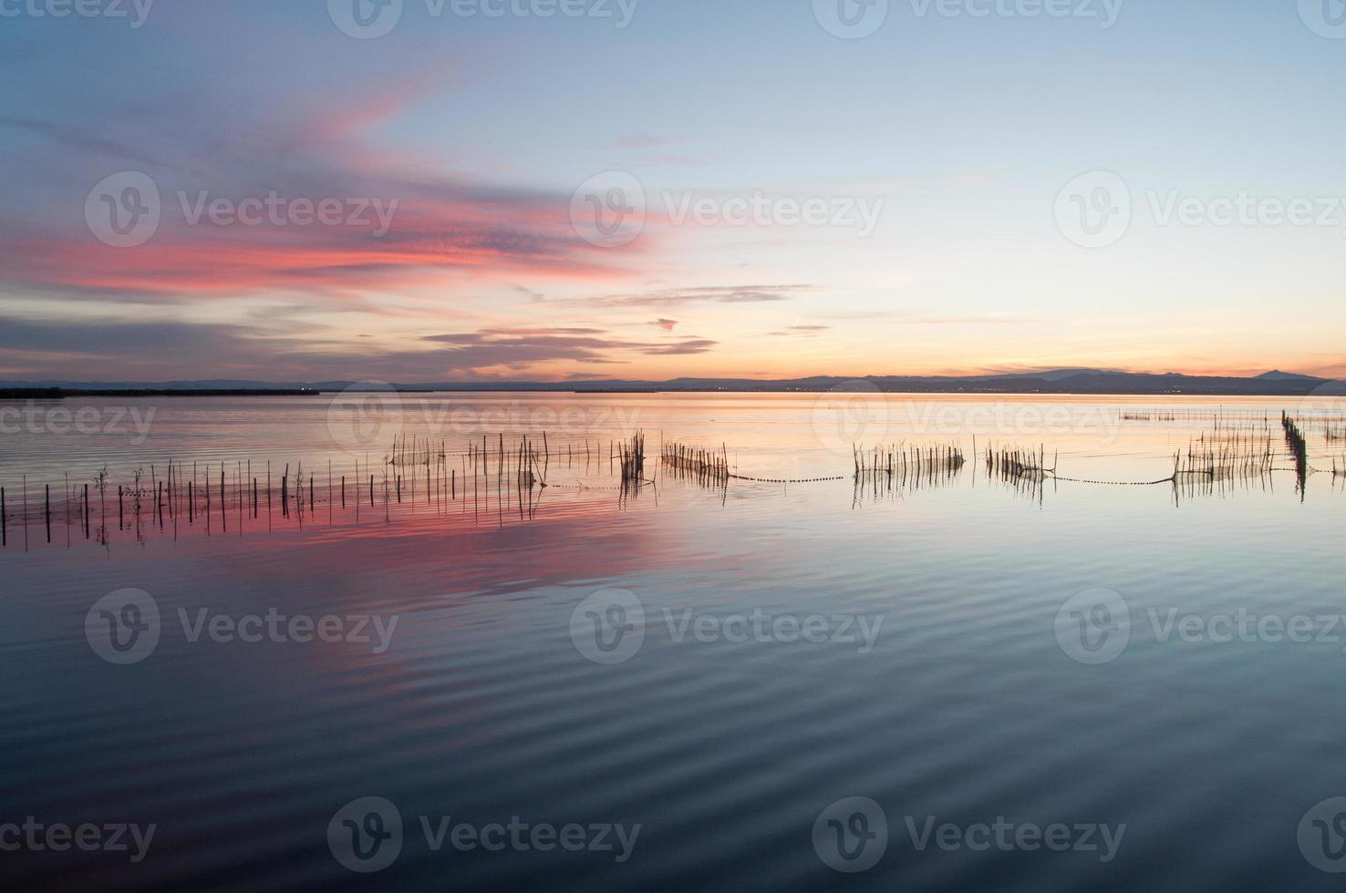 estuario dell'albufera a valencia, spagna foto