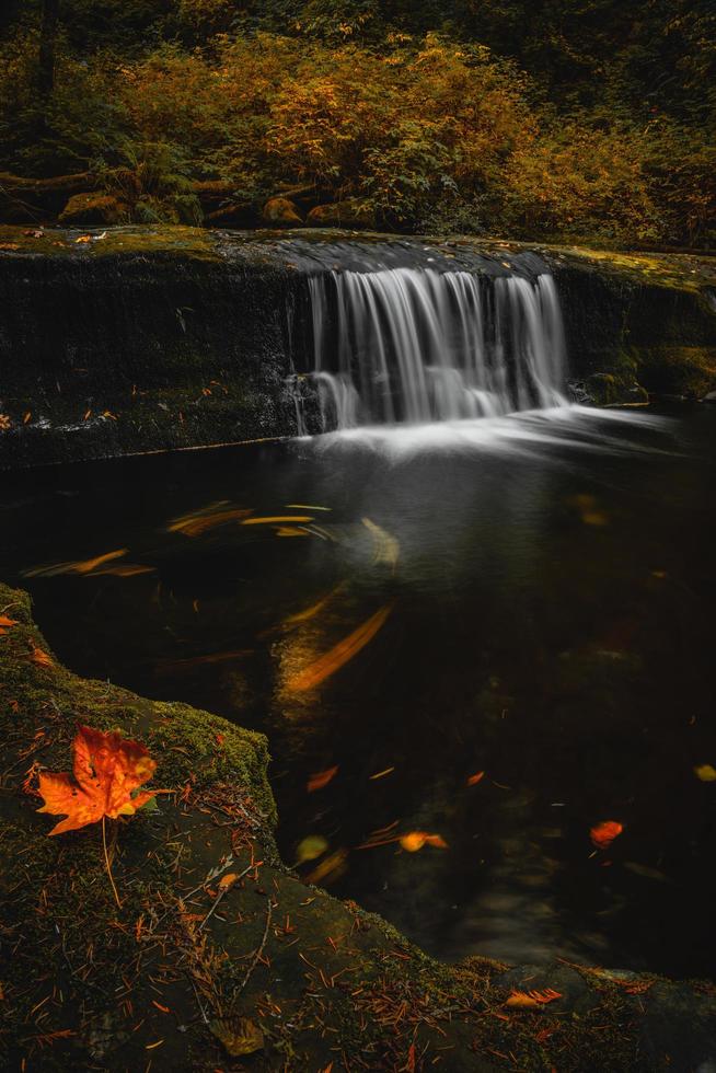 scenica cascata autunnale in oregon foto