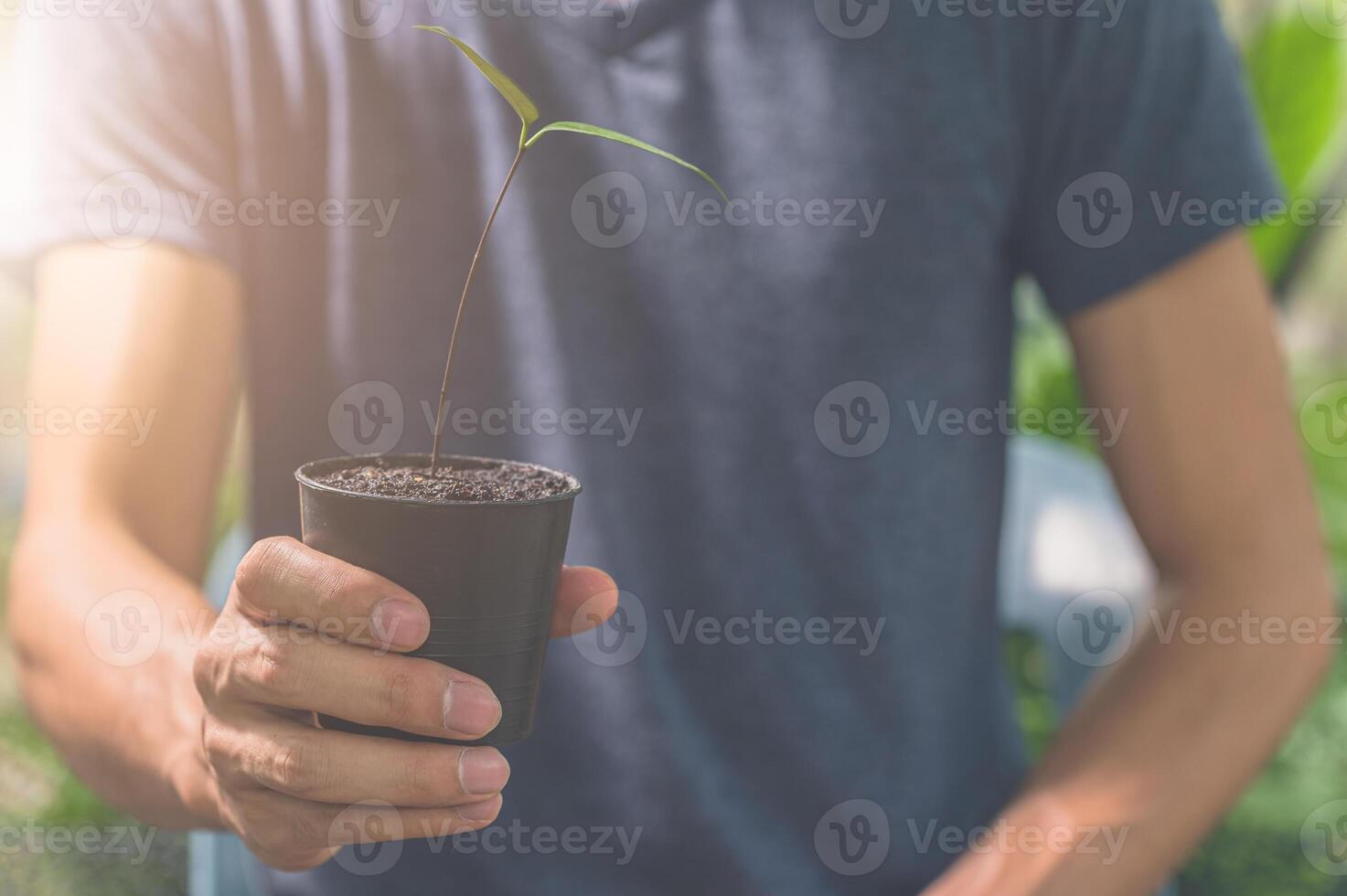 uomo che tiene un vaso della pianta foto