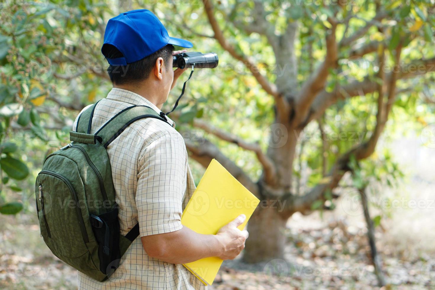 asiatico uomo esploratore indossa blu berretto, detiene binoculare nel foresta per sondaggio botanico impianti e creature animali selvatici. concetto, natura esplorazione. ecologia e ambiente. foto