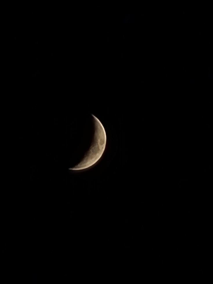 metà Luna tiro nel il notte foto