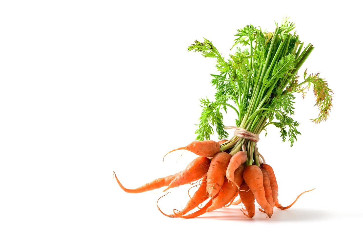 bambino carote isolato su bianca, alto beta carotene, salutare cibo foto