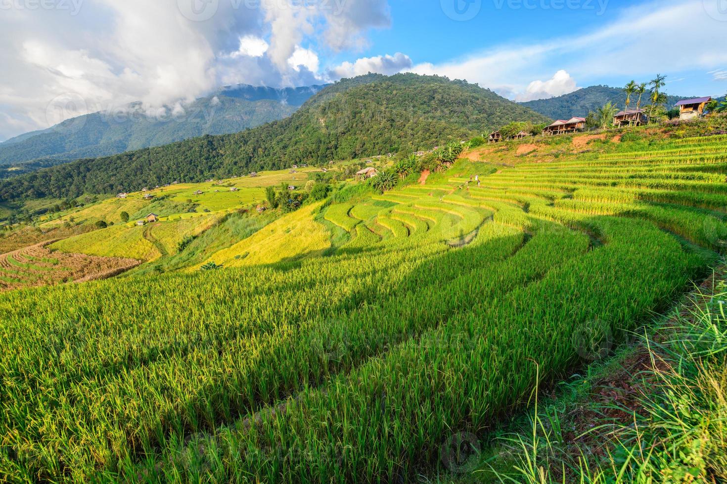 paesaggio di papà pong piang riso terrazze con alloggio in famiglia su montagna foto