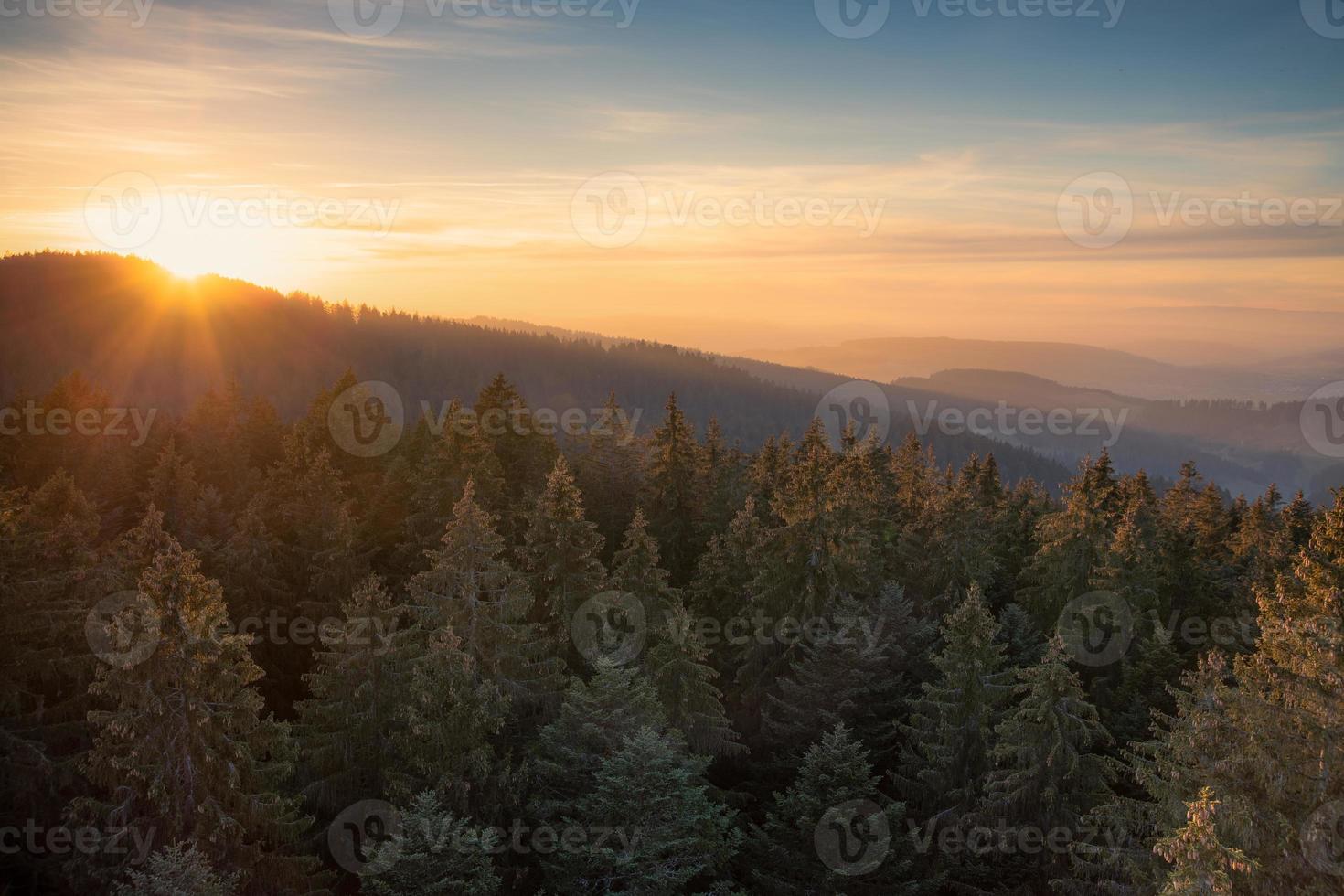 tramonto al di sopra di Svizzera con pino foresta foto