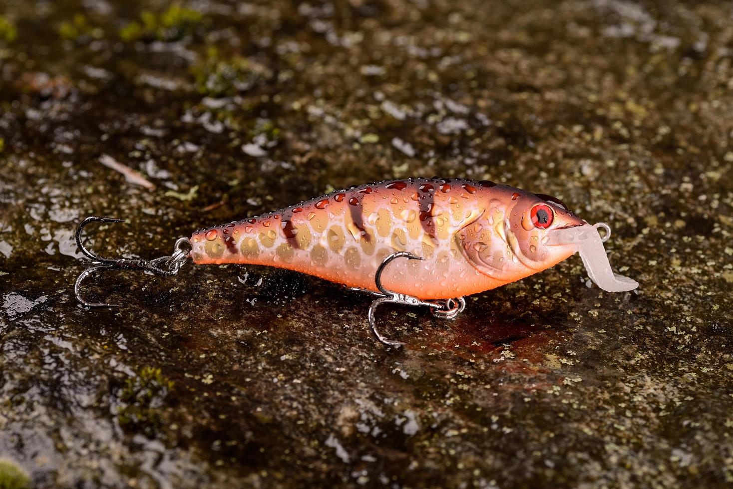 esca da pesca wobbler su una pietra bagnata con muschio foto