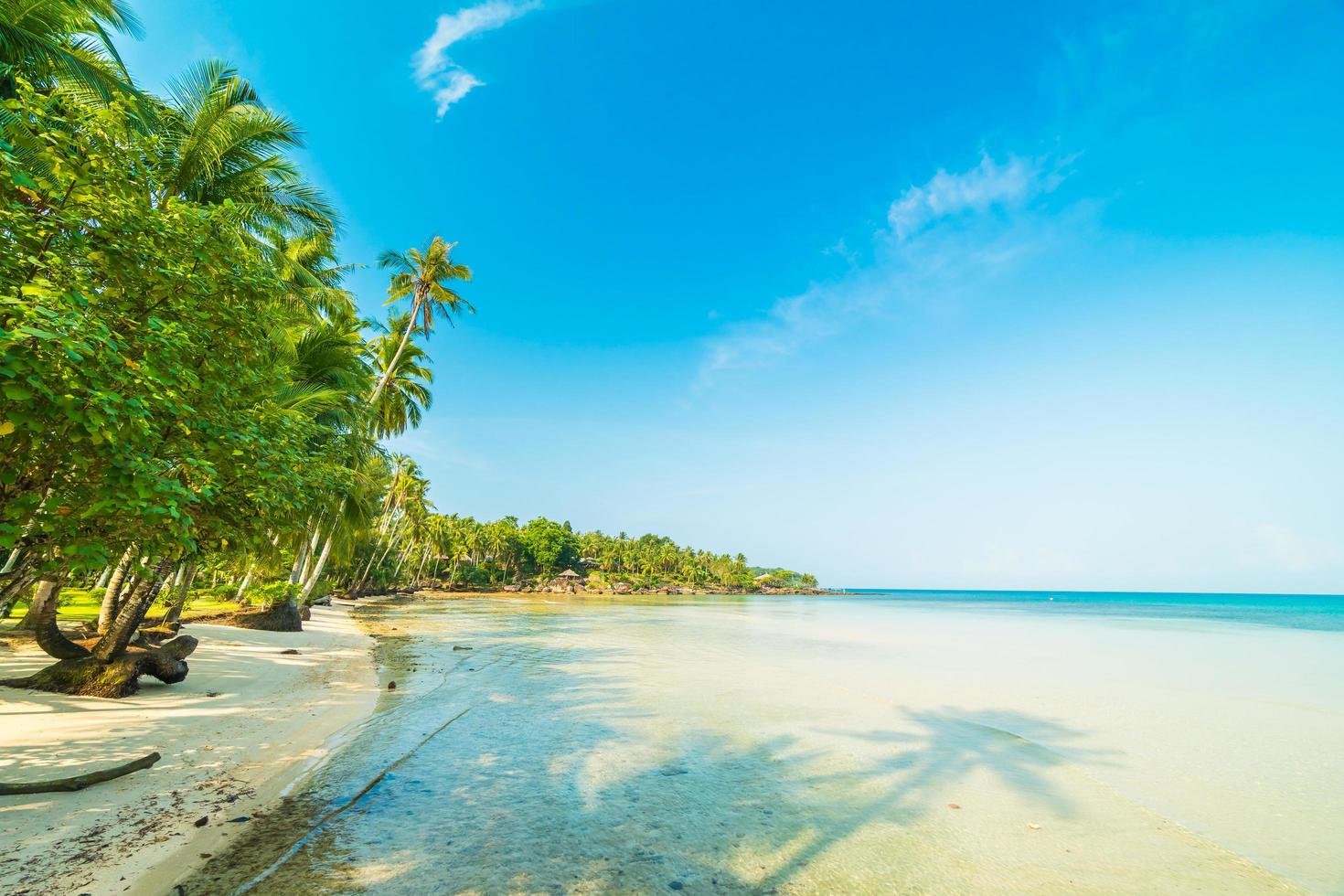 isola paradisiaca con spiaggia e mare foto