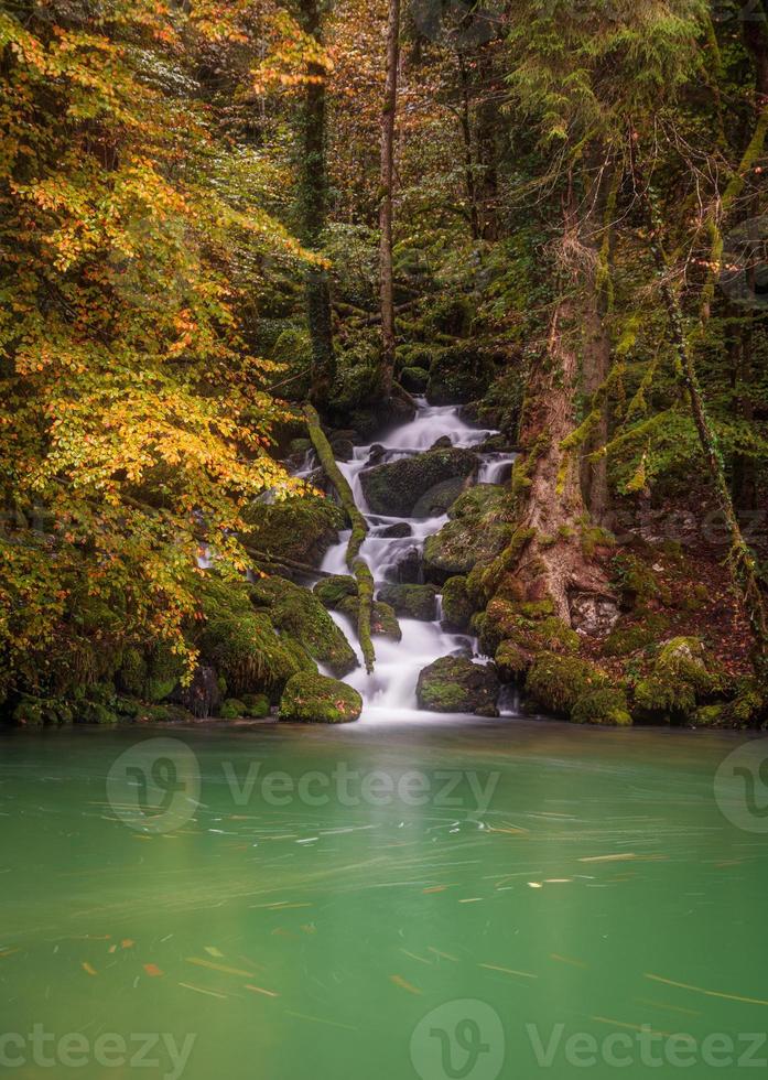 un' piccolo lago a un' foresta con un' torrente nel autunno foto