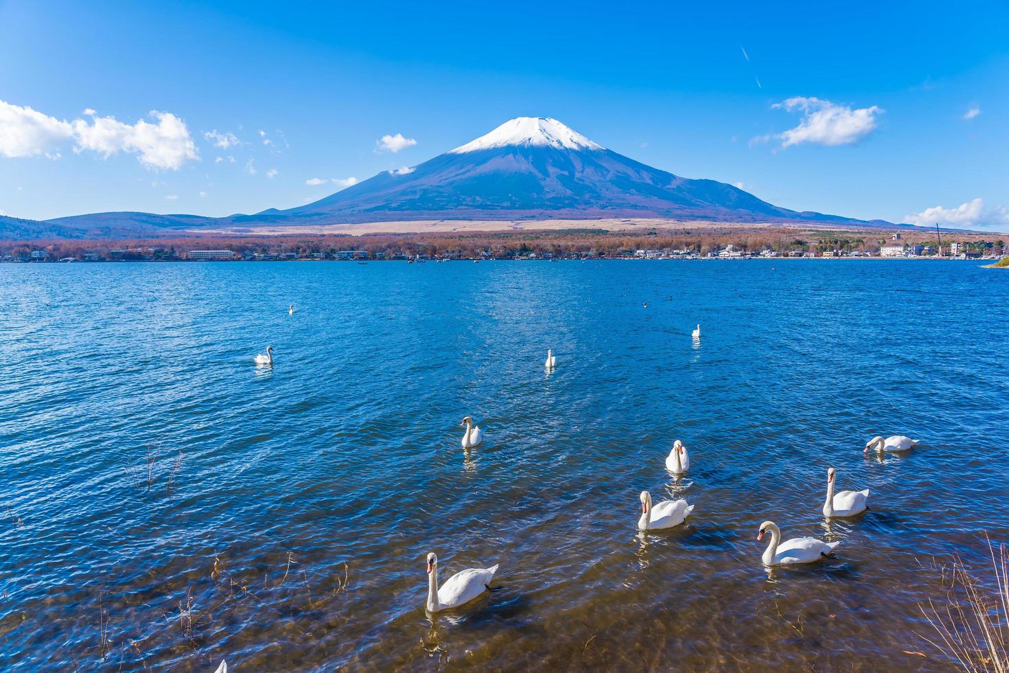 mt. fuji e il lago yamanakako in giappone foto