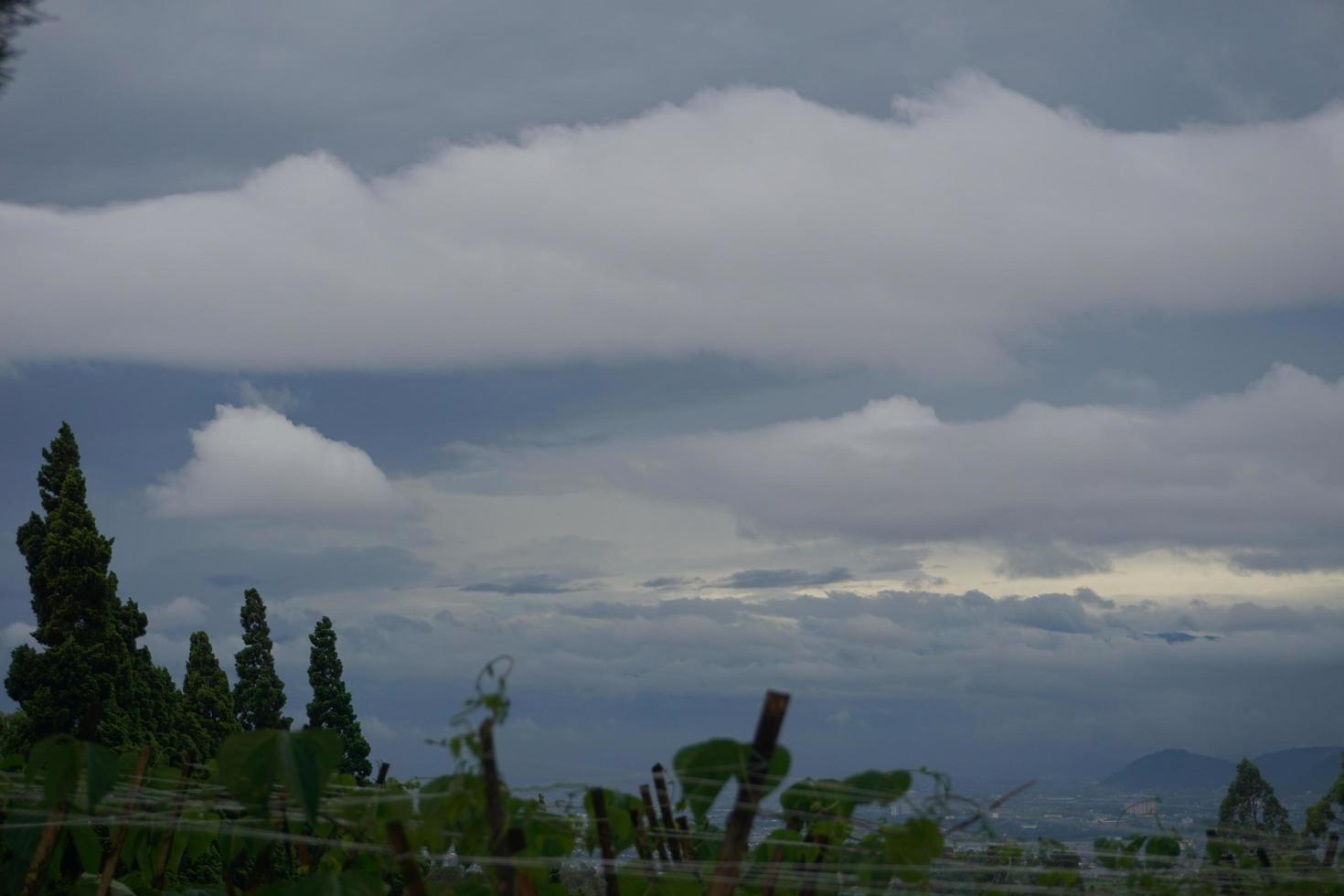 Visualizza di un' fresco verde lato di il strada foto