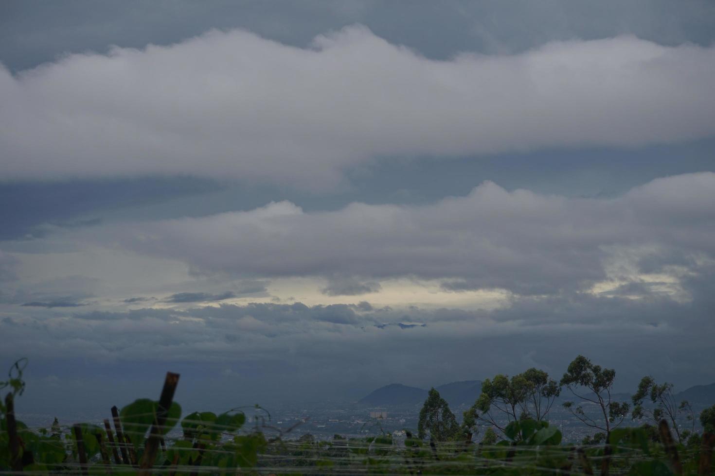 Visualizza di un' fresco verde lato di il strada foto