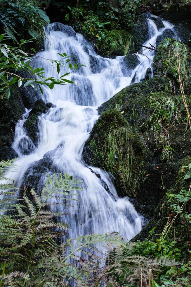 cascata nel Crawford Burn, settentrionale Irlanda, UK foto