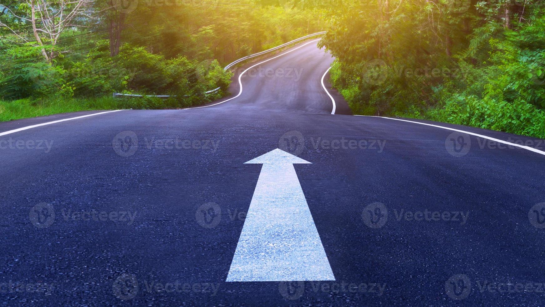 campagna strada con bianca freccia con alberi su tutti e due lati, curva di il strada, Due modo strada foto