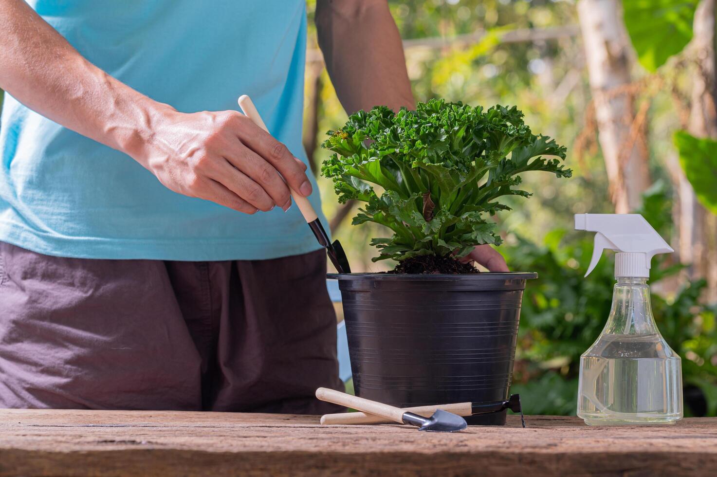 persone che piantano alberi in vaso concetto di amore le piante amano l'ambiente foto