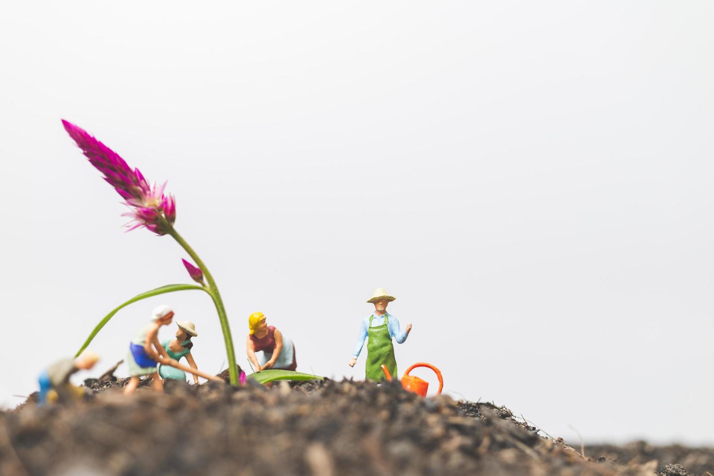 giardinieri in miniatura che si prendono cura della coltivazione di piante nel campo, concetto di ambiente foto