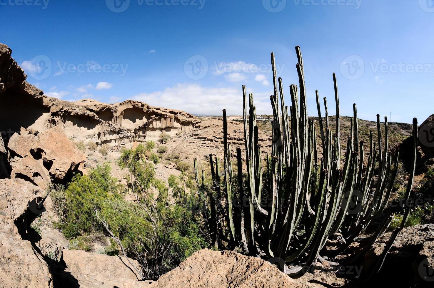 panoramico deserto paesaggio foto