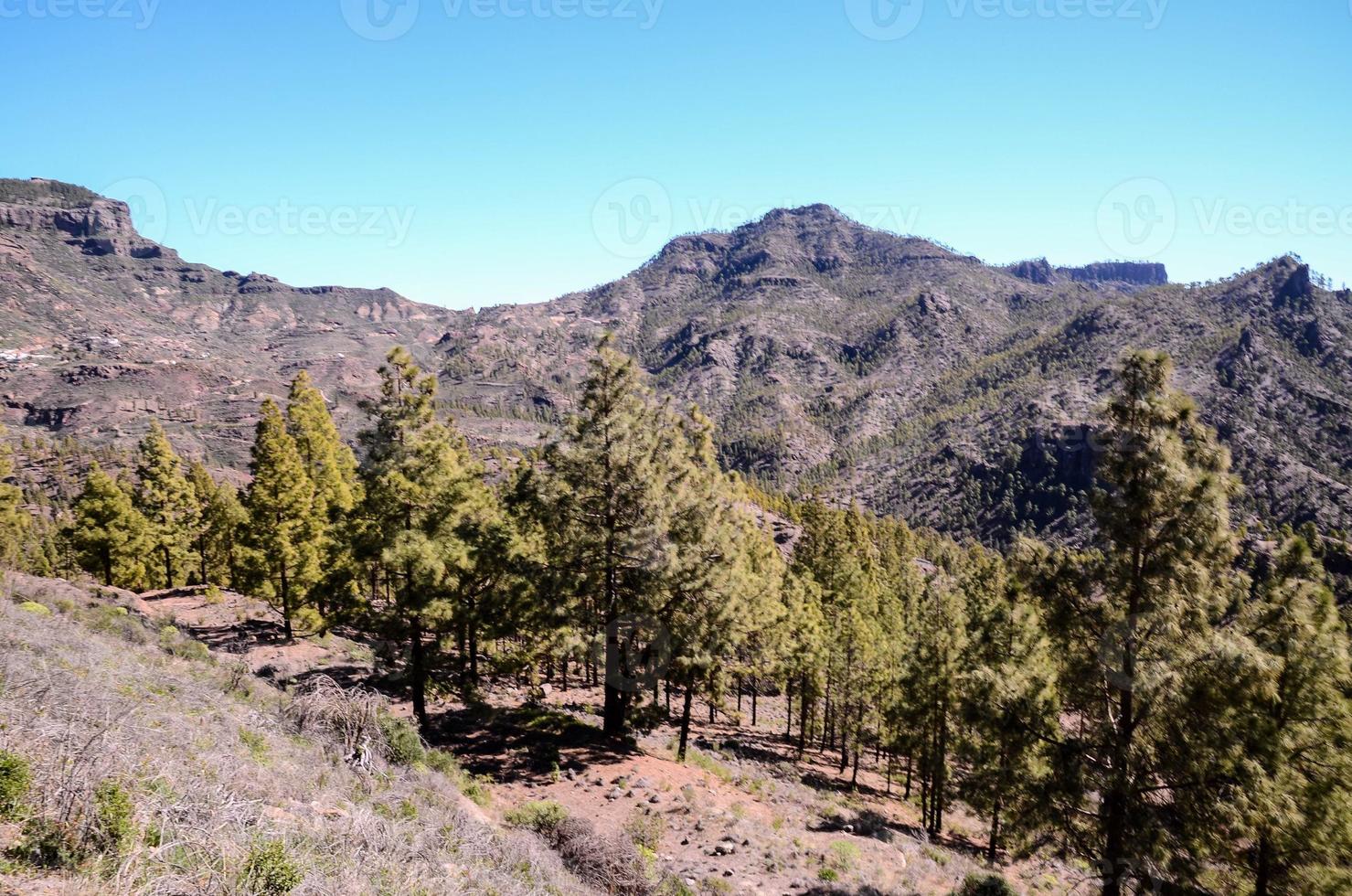 panoramico paesaggio su tenerife, canarino isole, Spagna foto