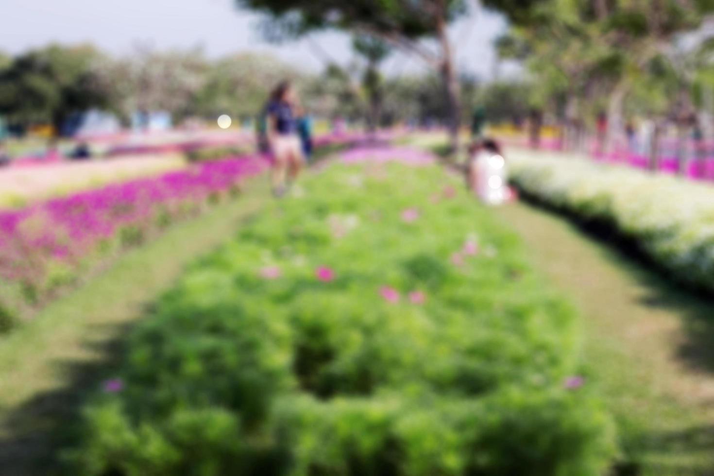 fiori sulla piantagione con sfocatura dello sfondo foto