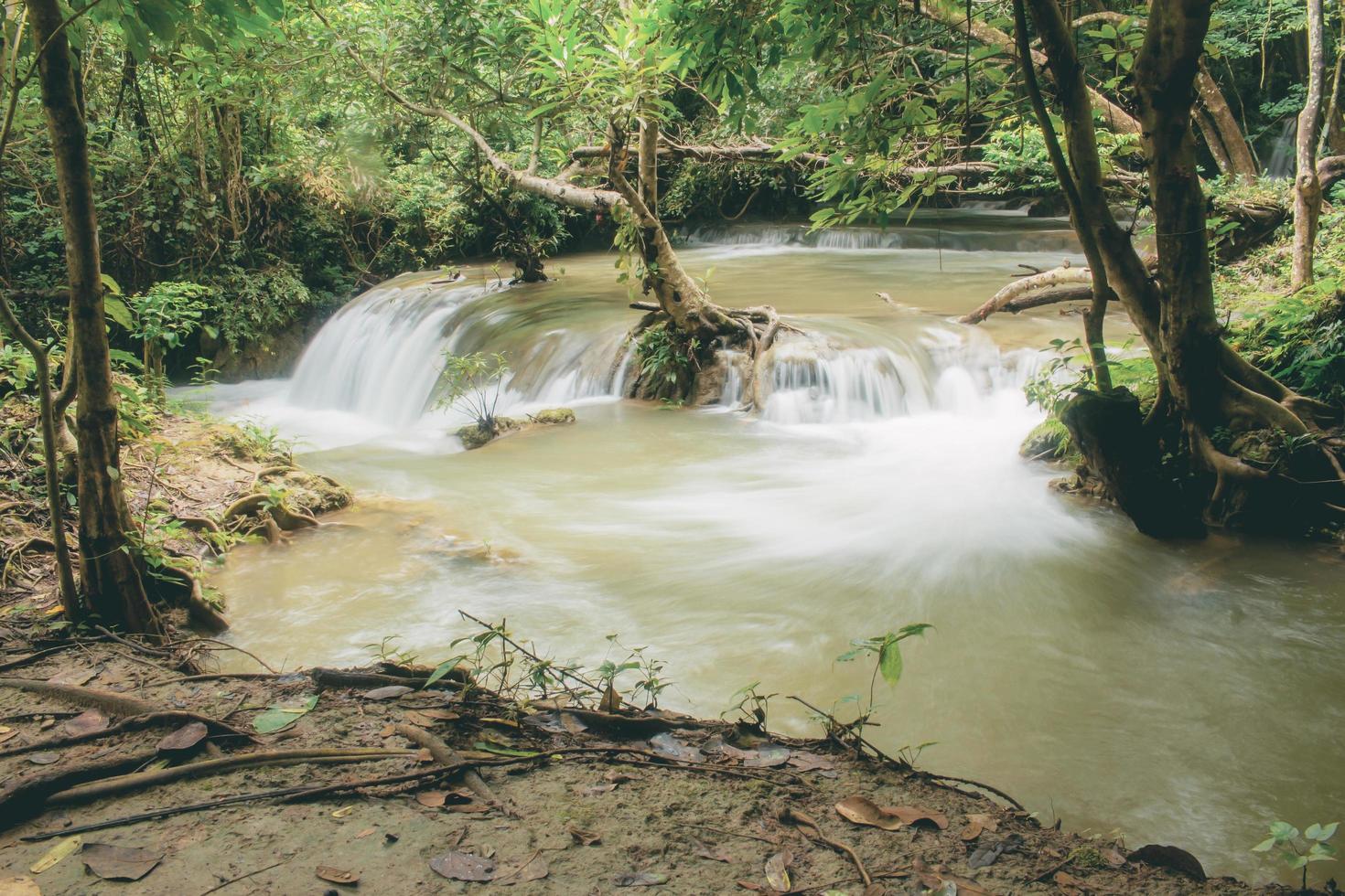 cascata nella stagione delle piogge e albero foto