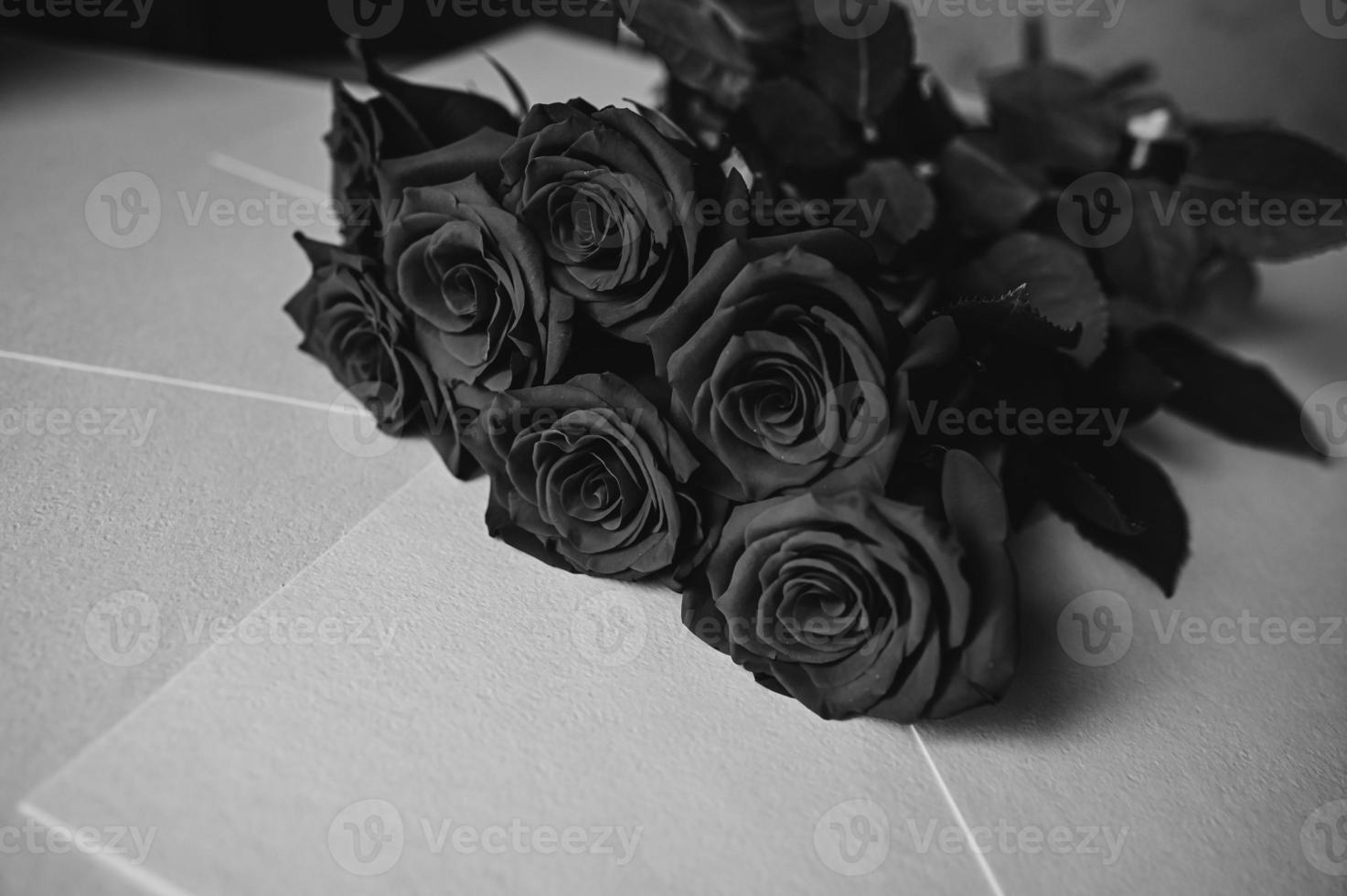nero Rose su un' bianca sfondo. nero e bianca foto di fiori. lutto fiori.