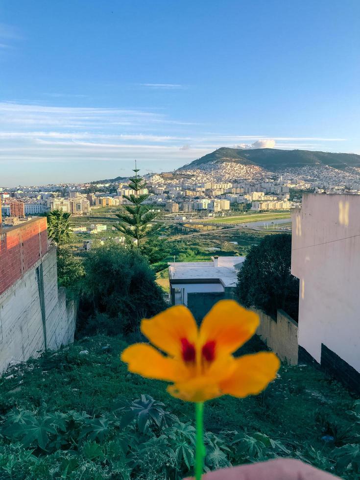 urbano mattina Visualizza di un' paesaggio è un' rinfrescante Esperienza foto