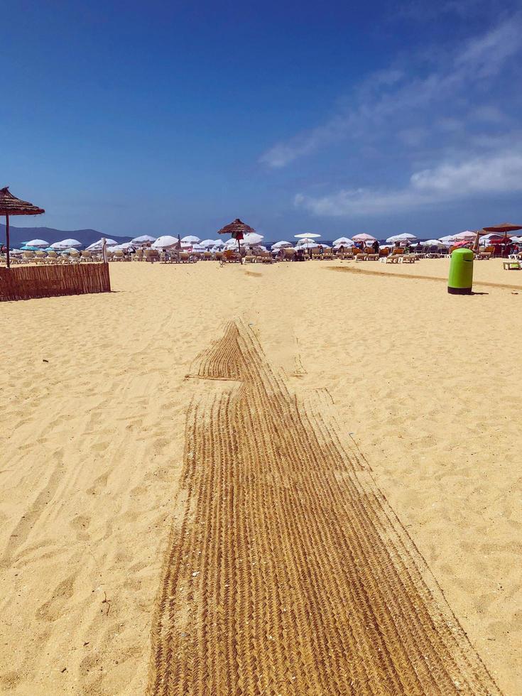 svelare il bellezza di il marina sorridi spiaggia Ingresso foto