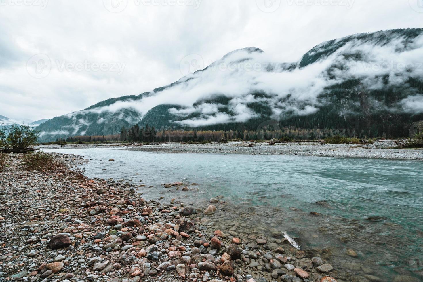 fiume nel alaska dove grizzlies piace per pesce con nebbioso montagne foto