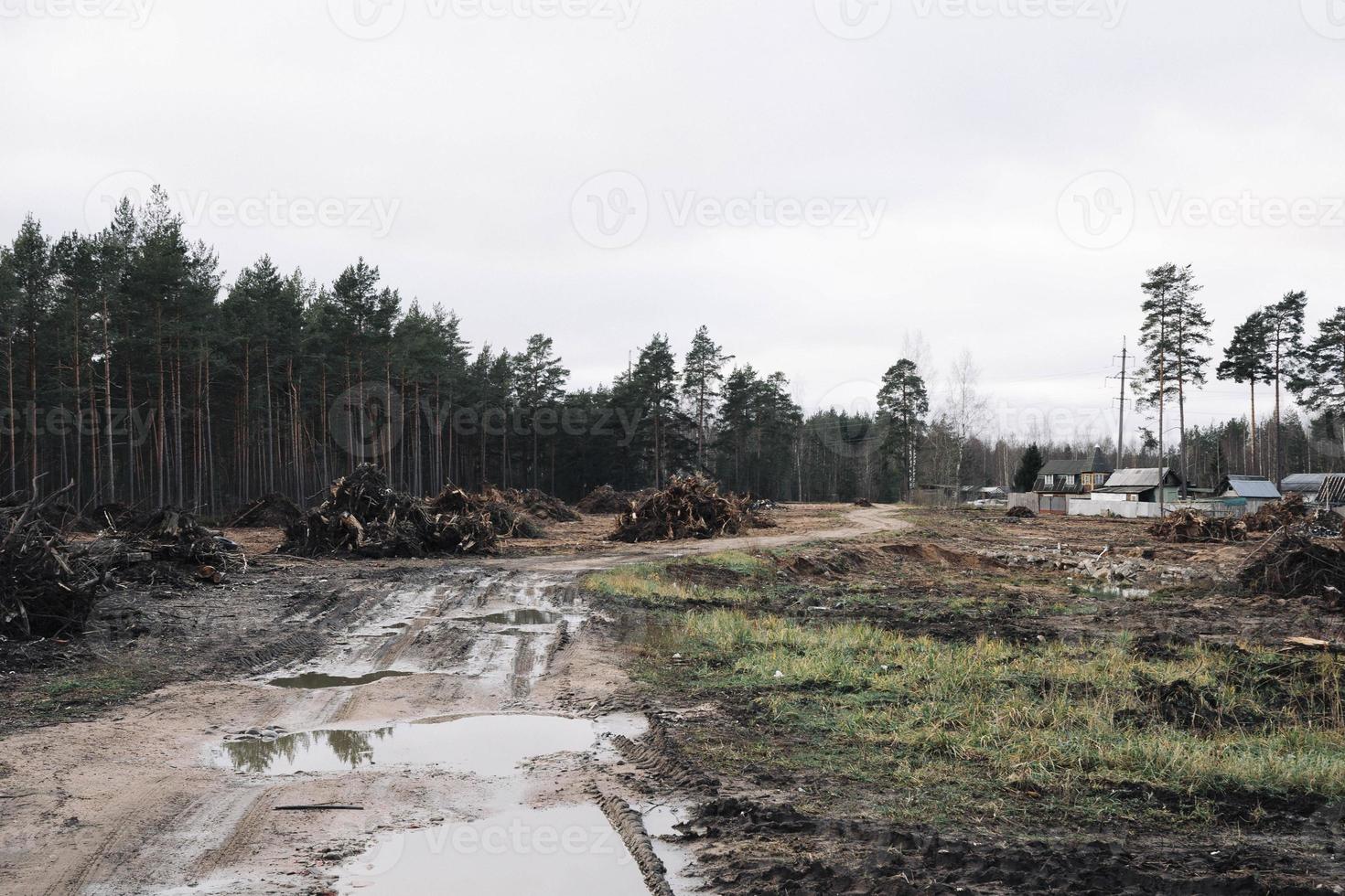 villaggio autunno strada con pozzanghere e fango lungo il foresta con emorroidi di sradicato monconi foto