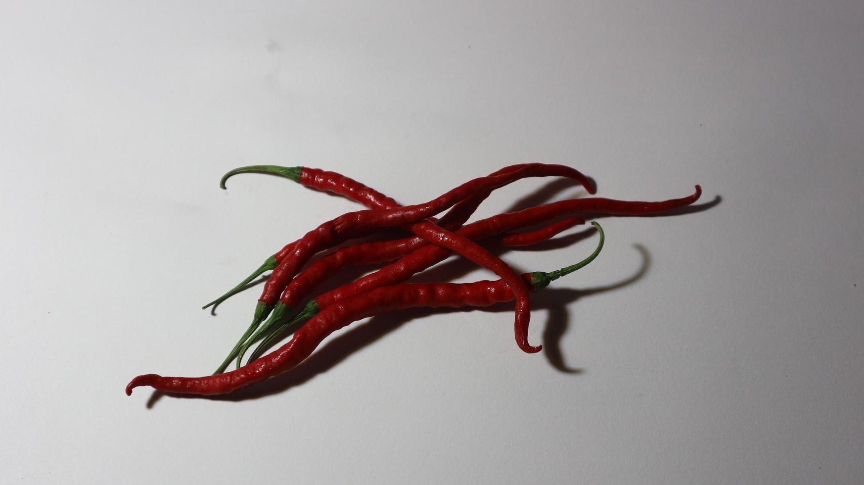 rosso peperoncino foto