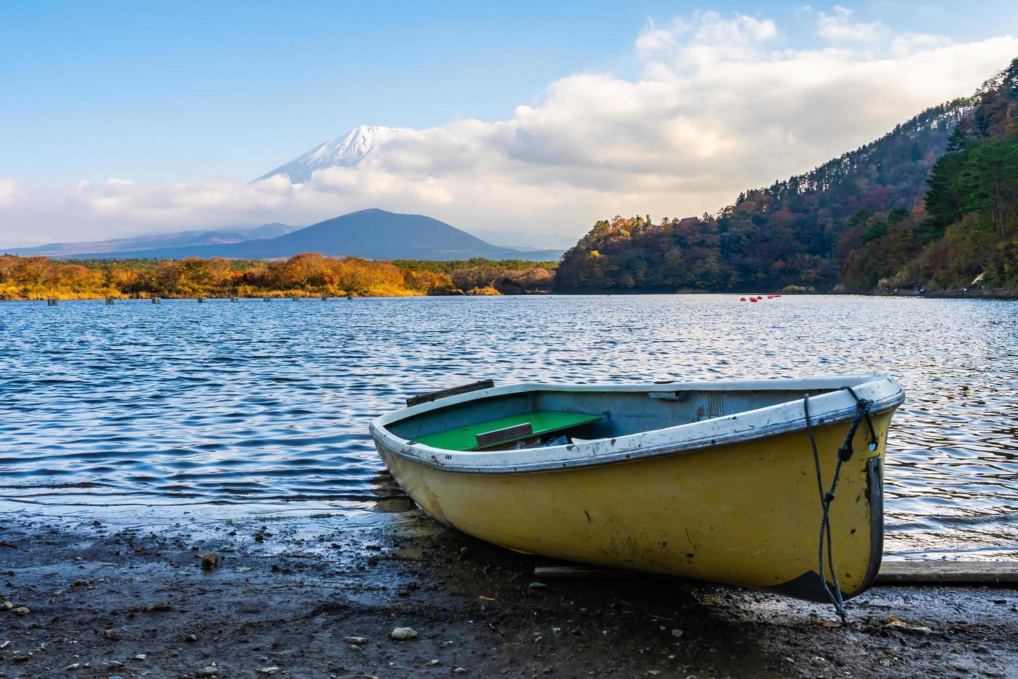 paesaggio a mt. fuji, giappone foto