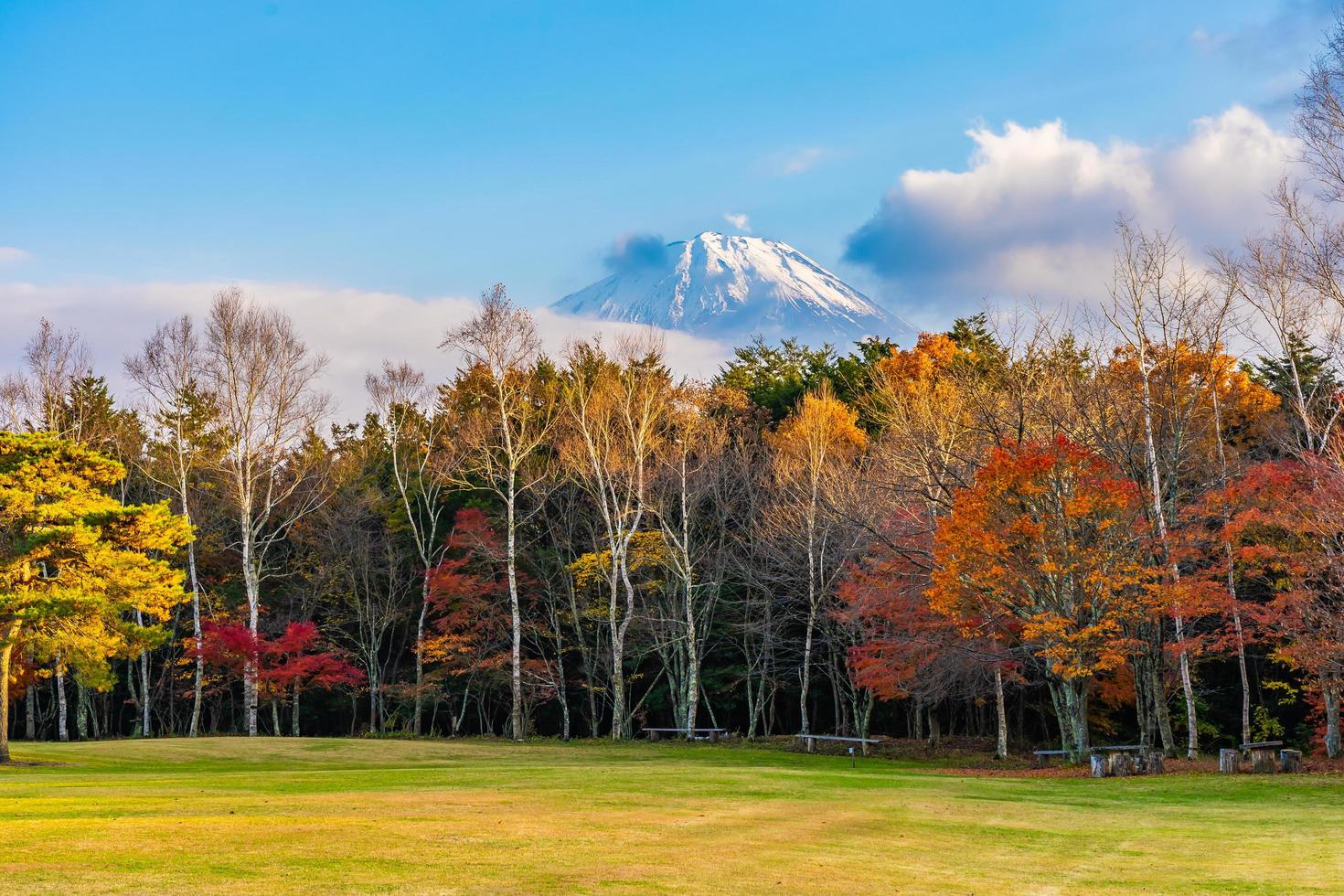 paesaggio a mt. fuji, yamanashi, giappone foto