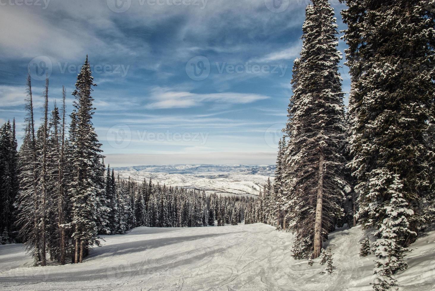 inverno nevoso paesaggio con pino alberi. pioppo tremolo montagna. foto