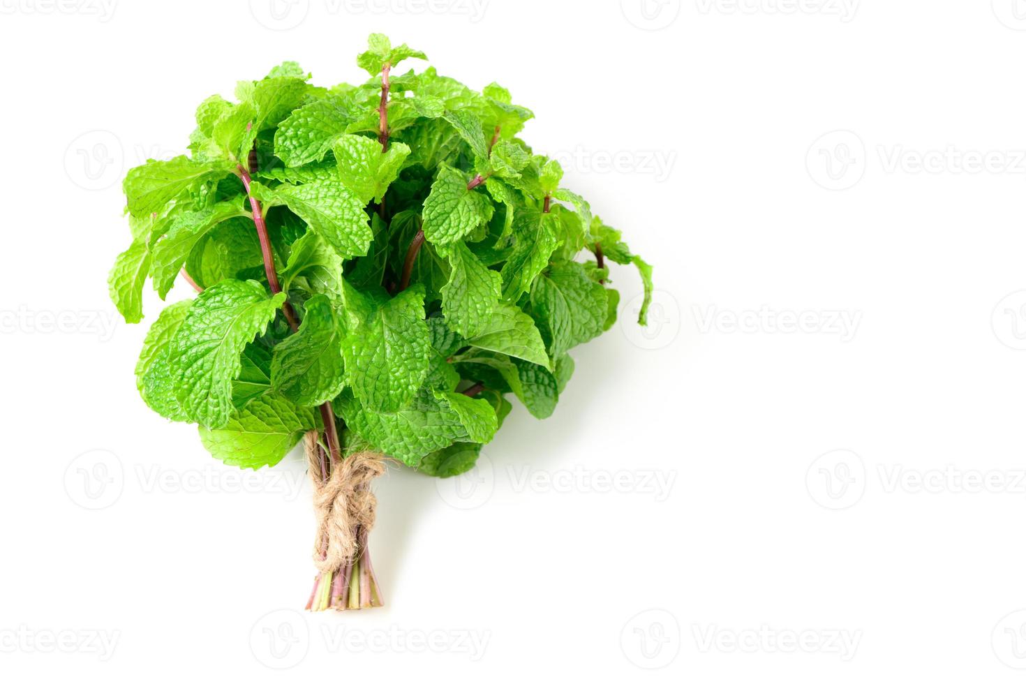 vicino su di menta le foglie isolato su bianca sfondo, foto