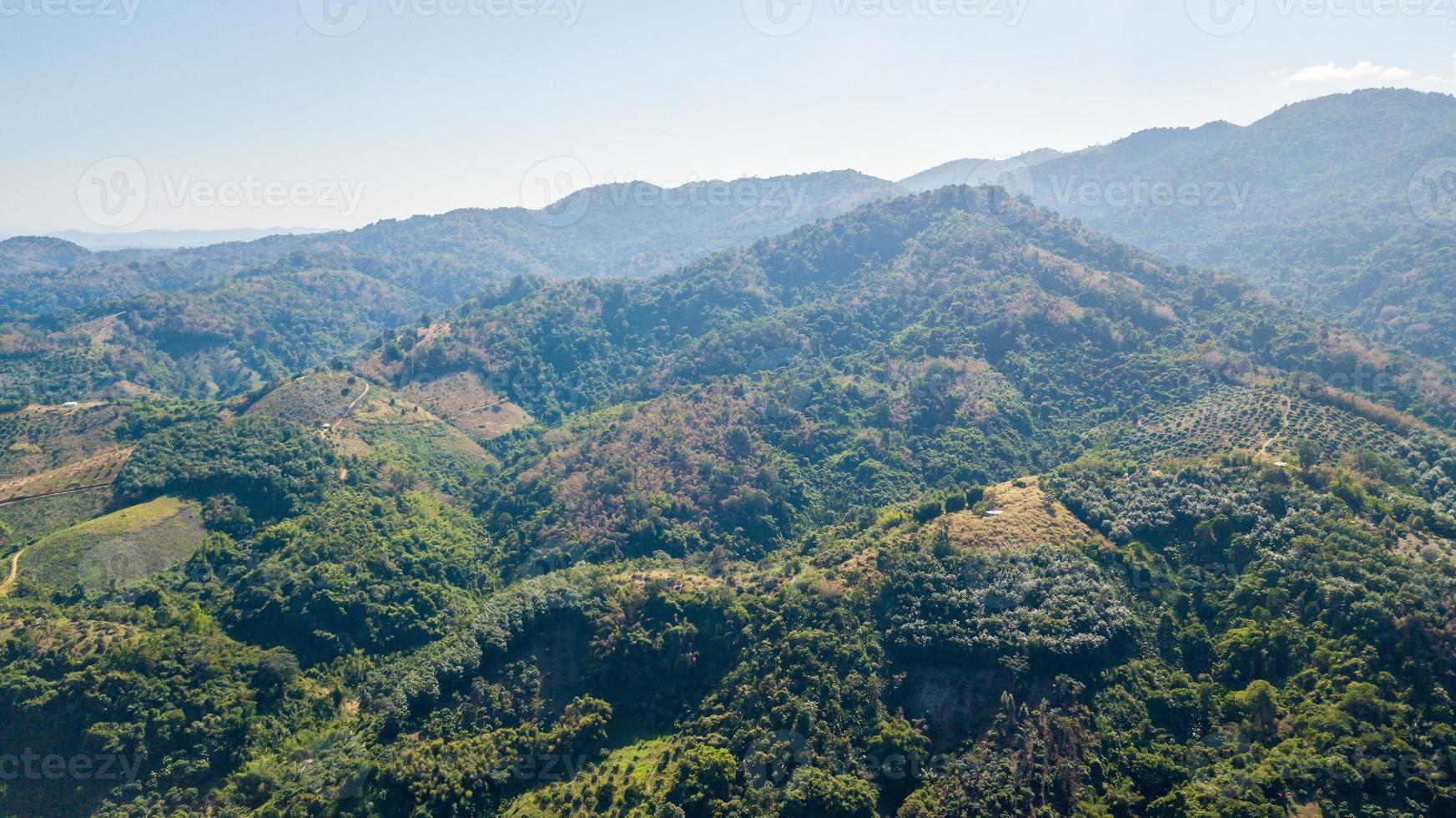 la deforestazione e uso del suolo pianificazione nel montanaro a nan Provincia Tailandia, foto